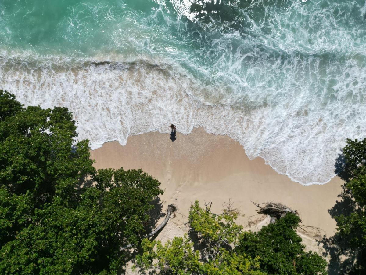 Samana Ecolodge El Limon Exteriér fotografie