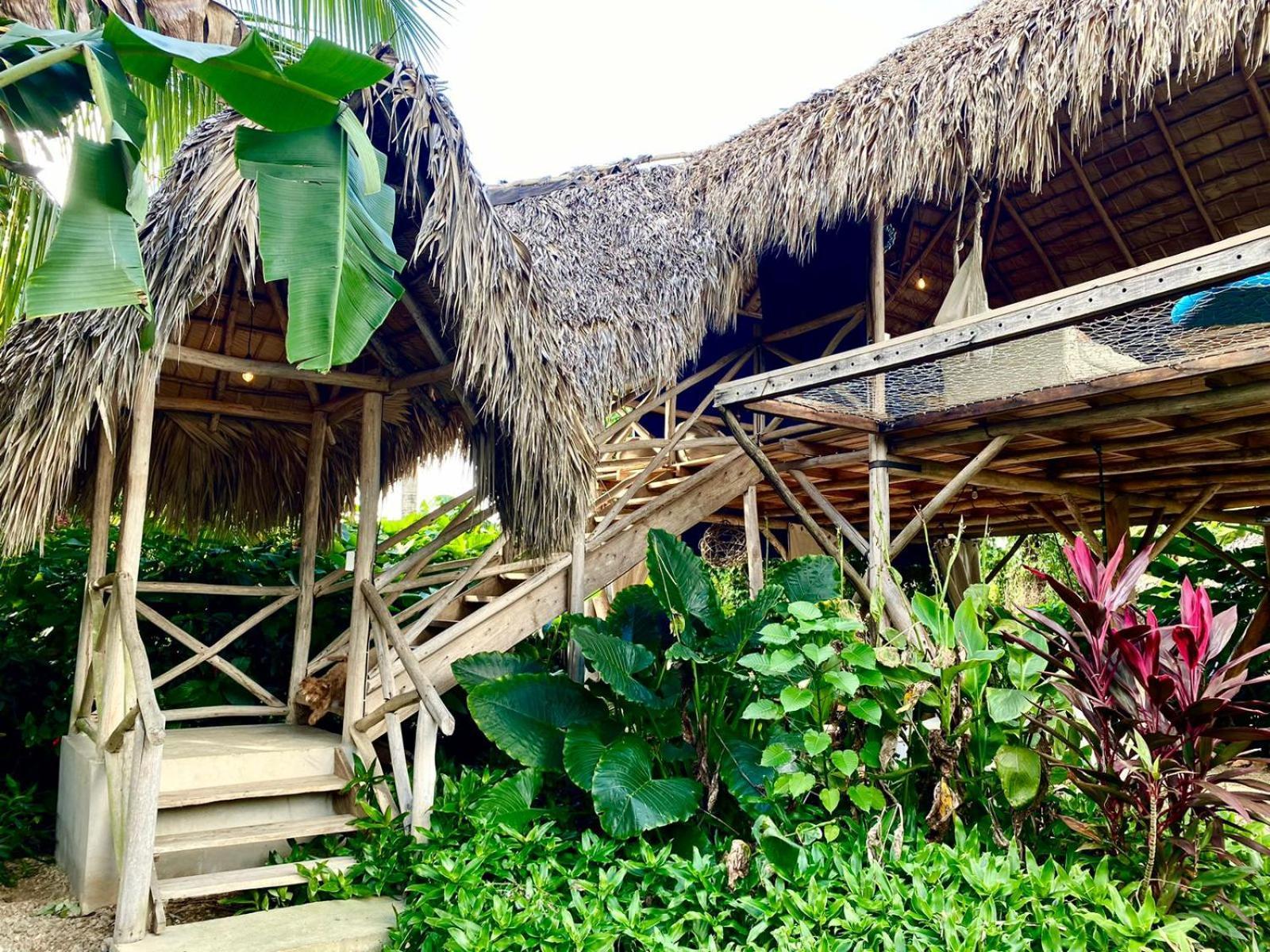 Samana Ecolodge El Limon Exteriér fotografie