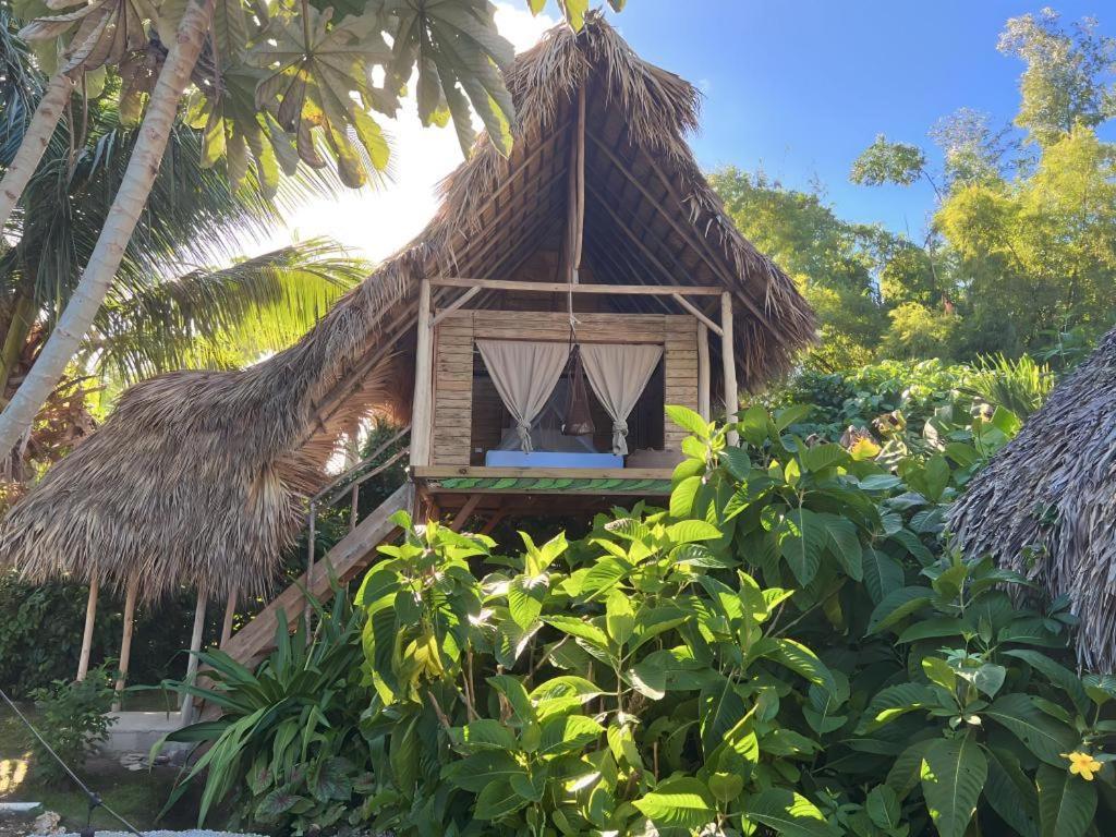Samana Ecolodge El Limon Exteriér fotografie
